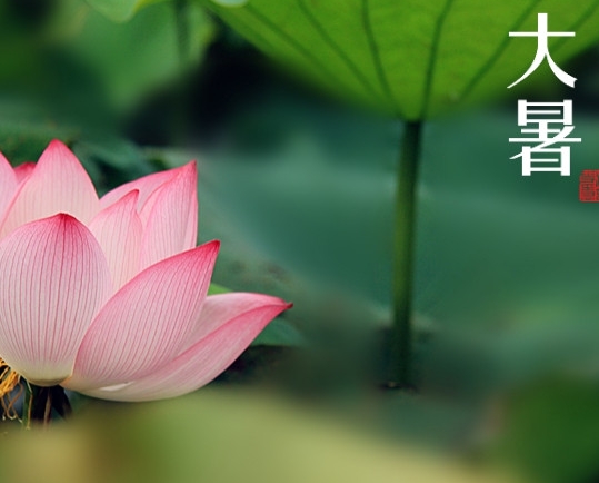 【2016 黄瓜视频污污污陶瓷】大暑，你需要注意這些
